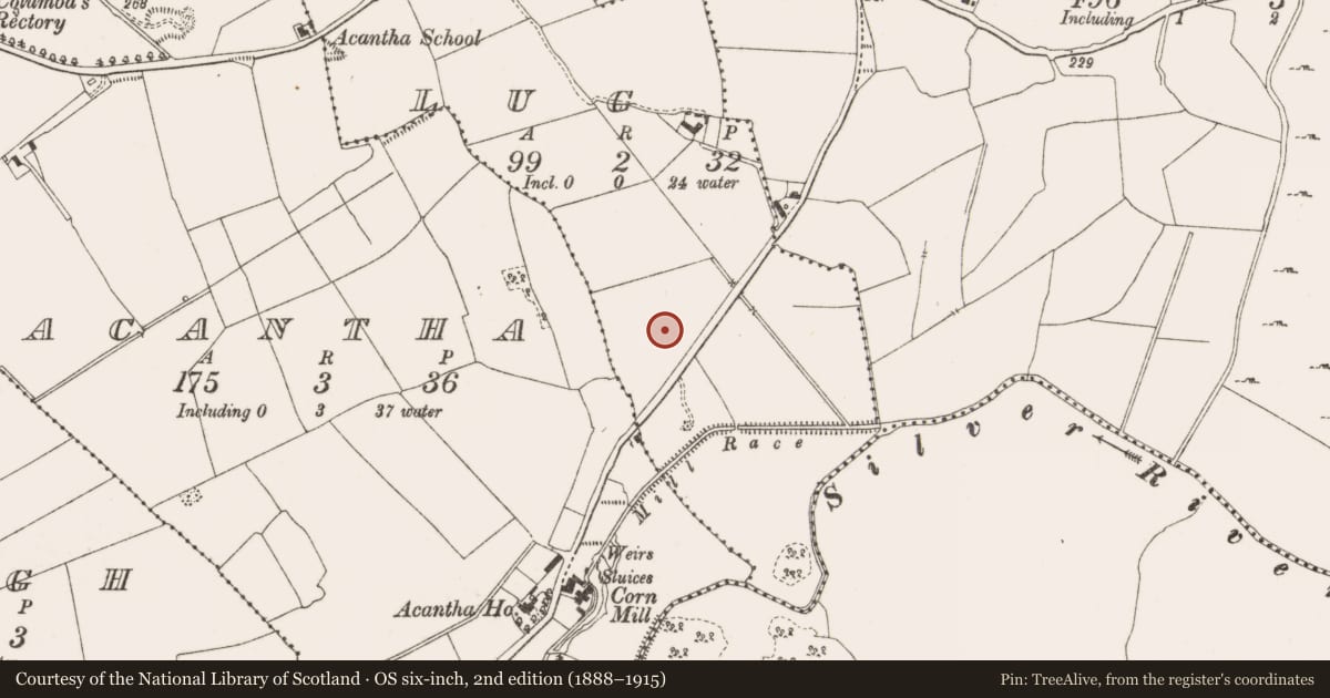 Ordnance Survey six-inch map, 2nd edition (1888–1915) covering the location of Cairn - burial cairn, Lug, County Offaly, with a pin at the register's coordinates