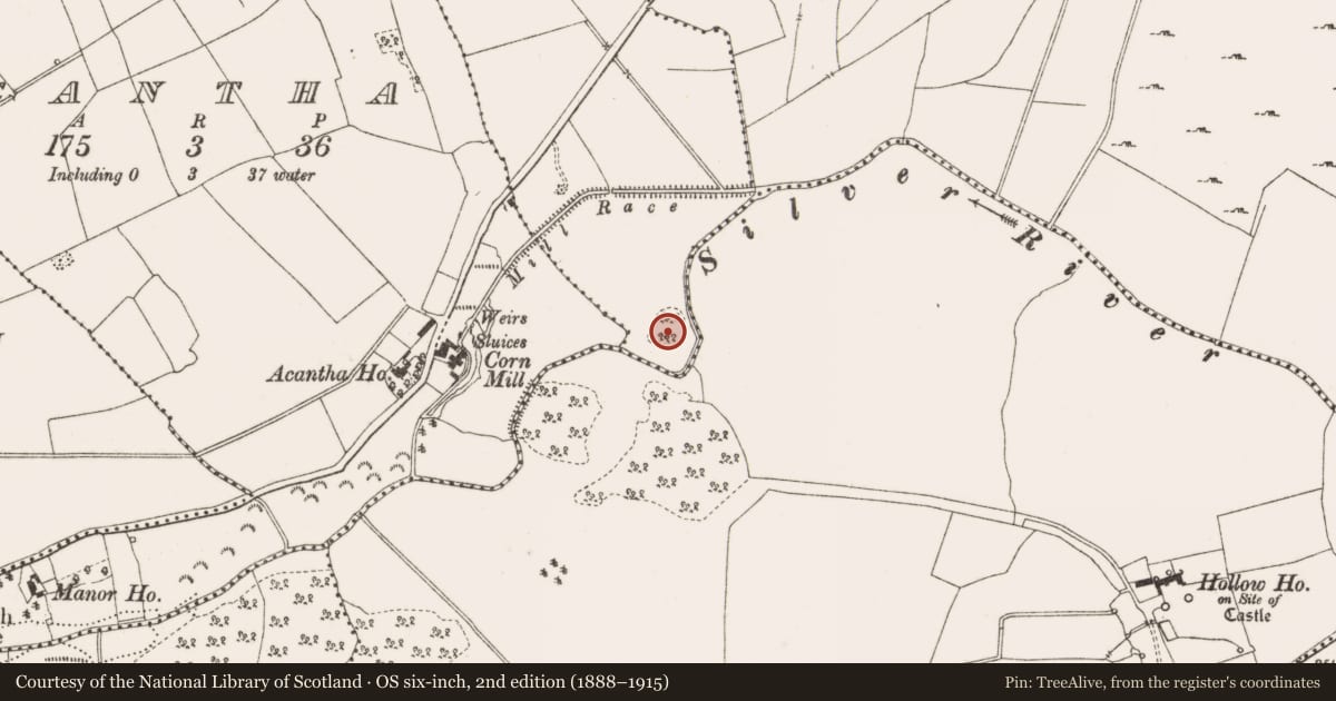 Ordnance Survey six-inch map, 2nd edition (1888–1915) covering the location of Cist, Lug, County Offaly, with a pin at the register's coordinates