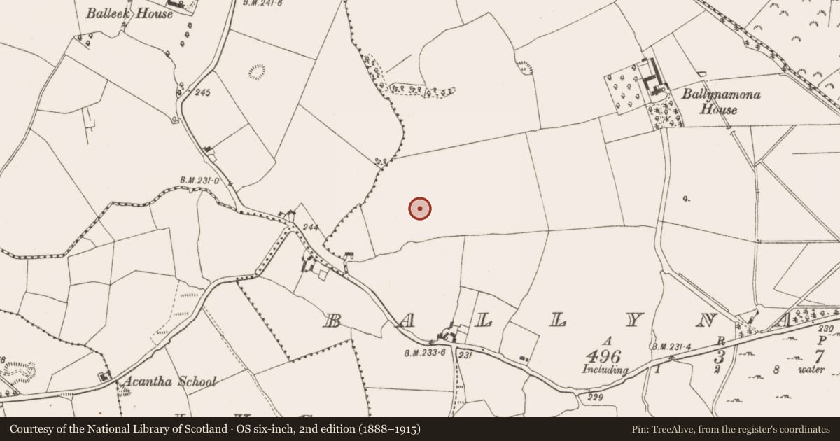Ordnance Survey six-inch map, 2nd edition (1888–1915) covering the location of Ring-ditch, Ballynamona, County Offaly, with a pin at the register's coordinates