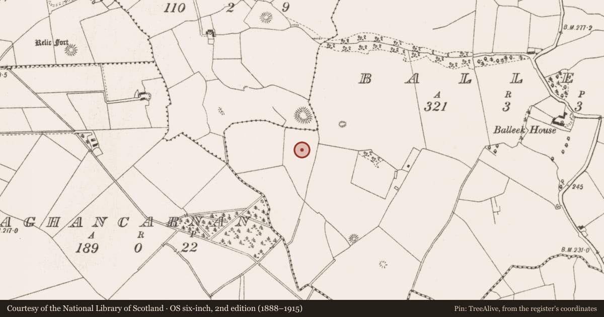 Ordnance Survey six-inch map, 2nd edition (1888–1915) covering the location of Earthwork, Balleek, County Offaly, with a pin at the register's coordinates