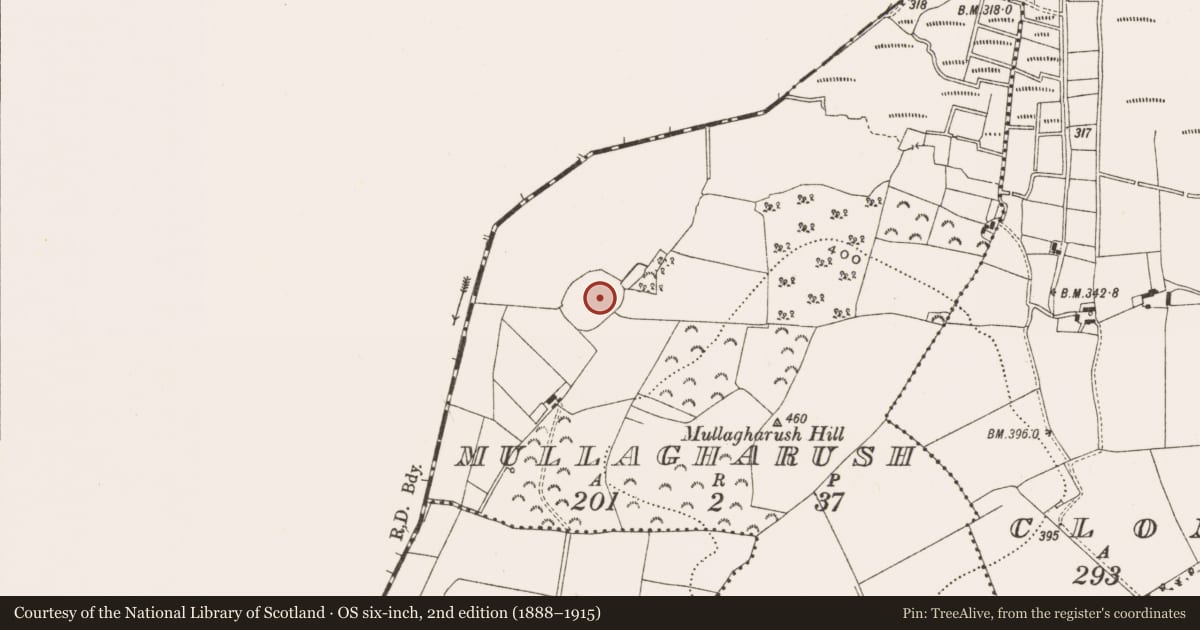 Ordnance Survey six-inch map, 2nd edition (1888–1915) covering the location of Enclosure, Mullagharush, County Offaly, with a pin at the register's coordinates