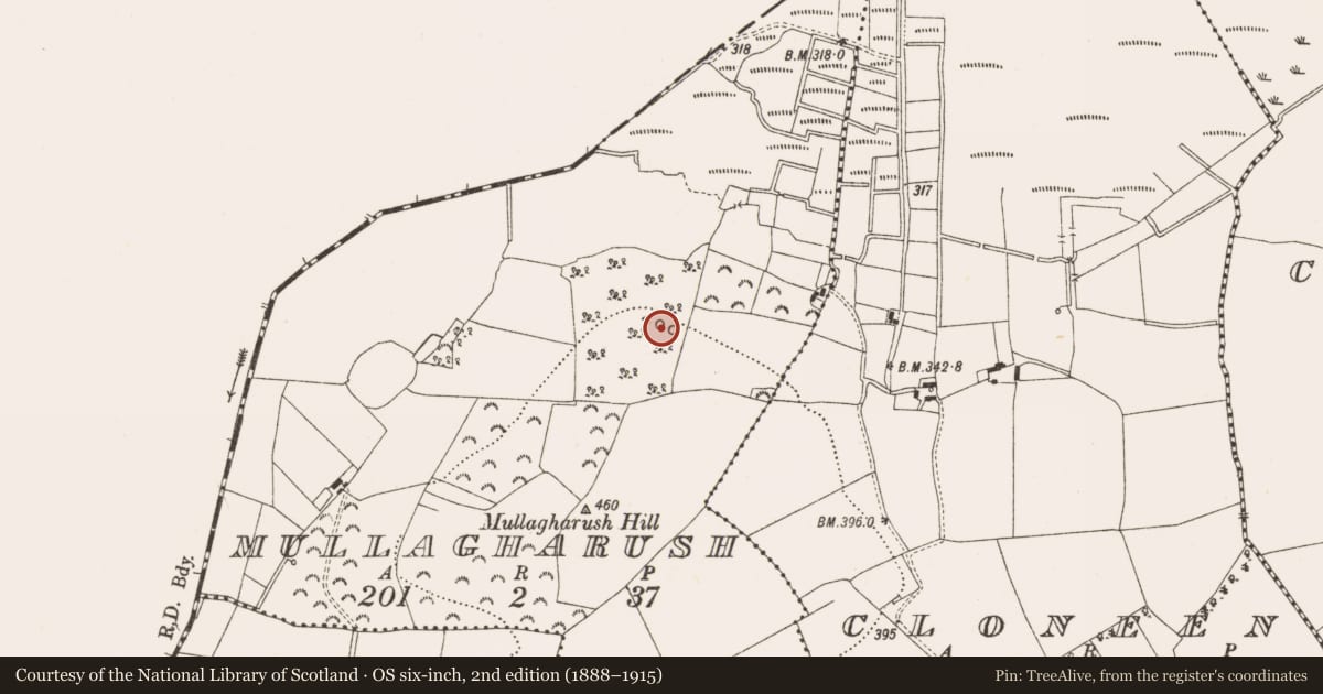 Ordnance Survey six-inch map, 2nd edition (1888–1915) covering the location of Enclosure, Mullagharush, County Offaly, with a pin at the register's coordinates