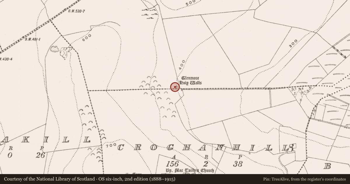 Ordnance Survey six-inch map, 2nd edition (1888–1915) covering the location of Ritual site - holy well, Ballybeg, County Offaly, with a pin at the register's coordinates