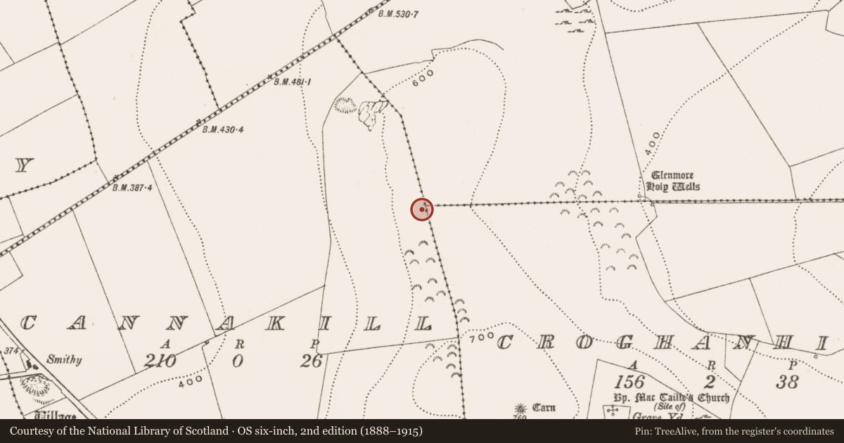 Ordnance Survey six-inch map, 2nd edition (1888–1915) covering the location of Cultivation ridges, County Offaly, with a pin at the register's coordinates