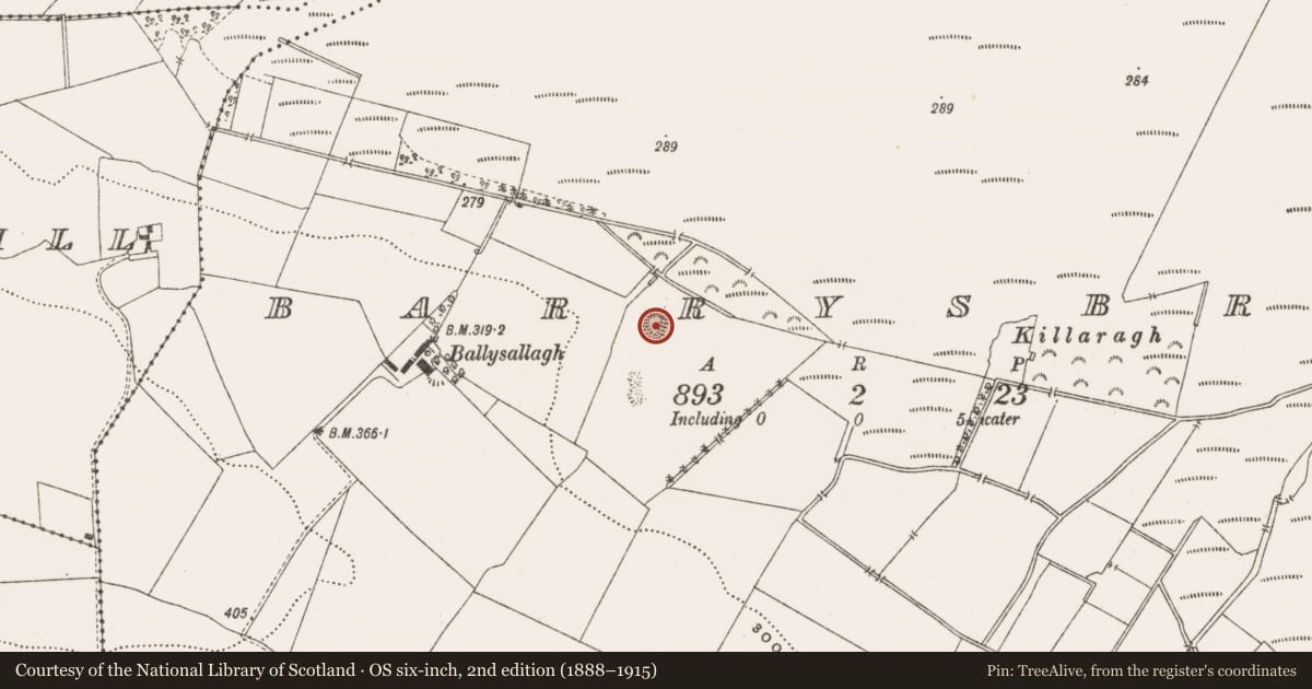 Ordnance Survey six-inch map, 2nd edition (1888–1915) covering the location of Ringfort - rath, Barrysbrook, County Offaly, with a pin at the register's coordinates