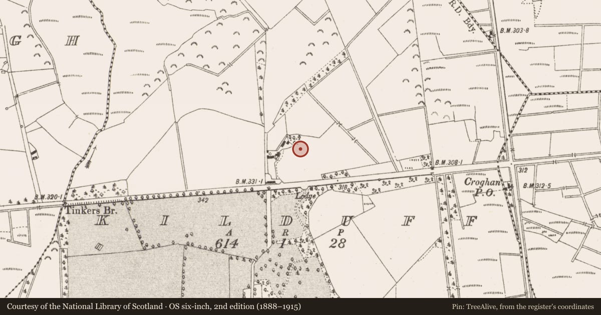 Ordnance Survey six-inch map, 2nd edition (1888–1915) covering the location of Ringfort - rath, Kilduff, County Offaly, with a pin at the register's coordinates