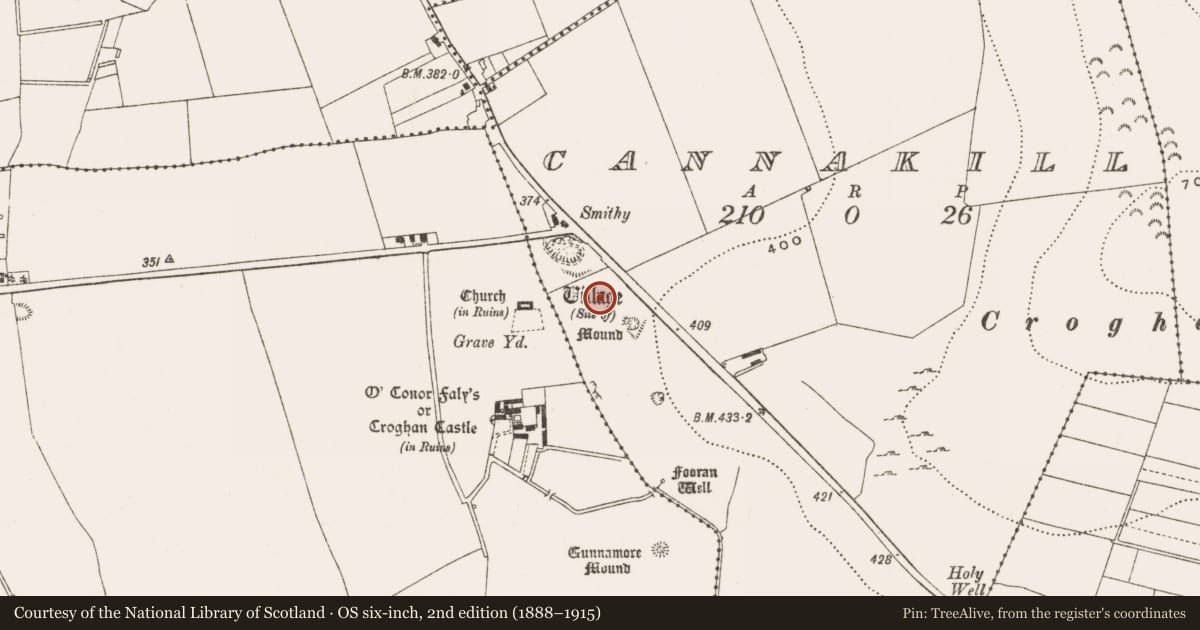 Ordnance Survey six-inch map, 2nd edition (1888–1915) covering the location of Settlement deserted - medieval, Cannakill, County Offaly, with a pin at the register's coordinates