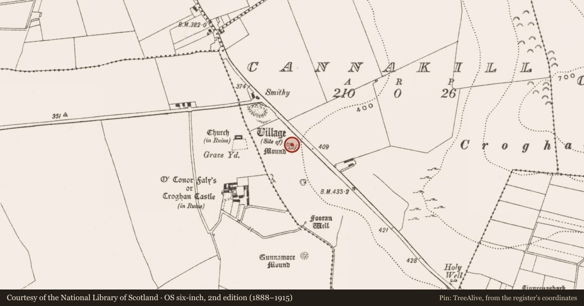 Ordnance Survey six-inch map, 2nd edition (1888–1915) covering the location of Mound, Cannakill, County Offaly, with a pin at the register's coordinates