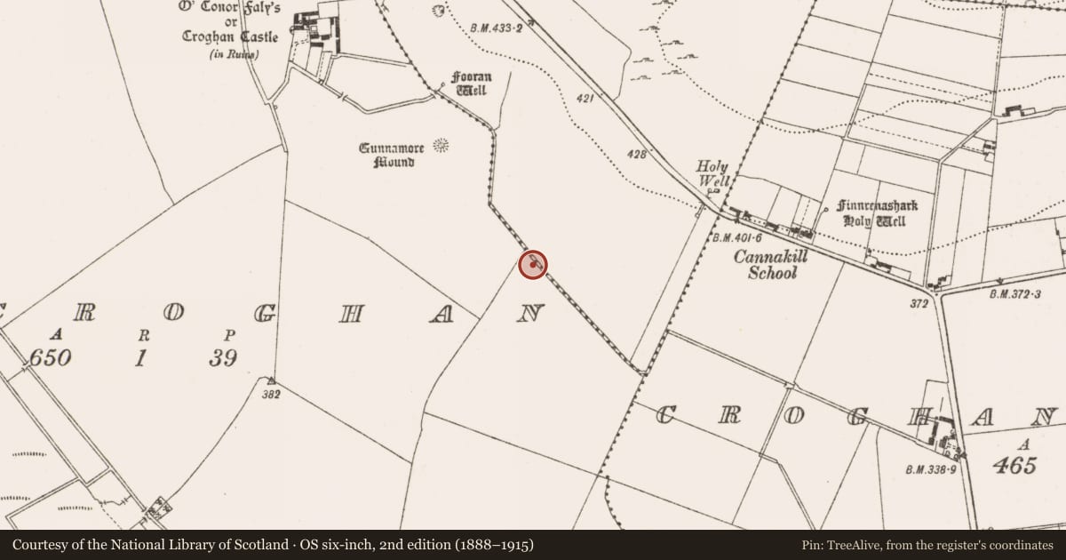 Ordnance Survey six-inch map, 2nd edition (1888–1915) covering the location of Road - class 1 togher, Cannakill, Oldcroghan, County Offaly, with a pin at the register's coordinates