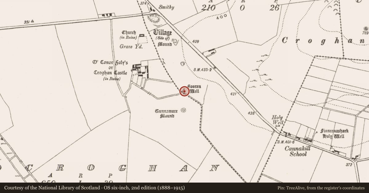 Ordnance Survey six-inch map, 2nd edition (1888–1915) covering the location of Well, Cannakill, County Offaly, with a pin at the register's coordinates