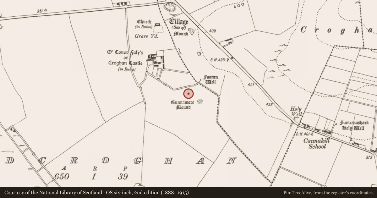 Ordnance Survey six-inch map, 2nd edition (1888–1915) covering the location of Burnt mound, Oldcroghan, County Offaly, with a pin at the register's coordinates