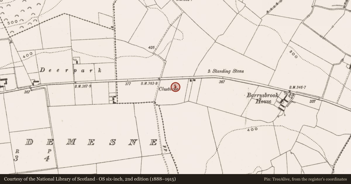 Ordnance Survey six-inch map, 2nd edition (1888–1915) covering the location of Standing stone, Barrysbrook, County Offaly, with a pin at the register's coordinates