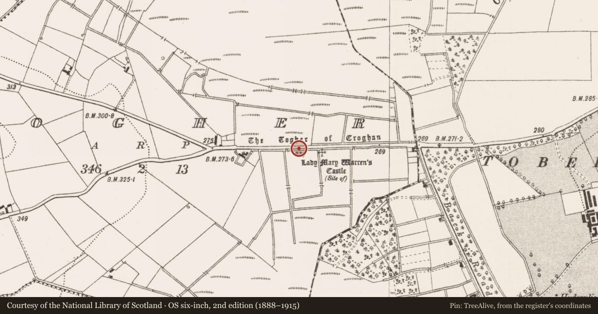 Ordnance Survey six-inch map, 2nd edition (1888–1915) covering the location of Road - unclassified togher, County Offaly, with a pin at the register's coordinates