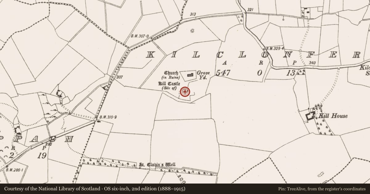 Ordnance Survey six-inch map, 2nd edition (1888–1915) covering the location of Castle - tower house, Kilclonfert, County Offaly, with a pin at the register's coordinates
