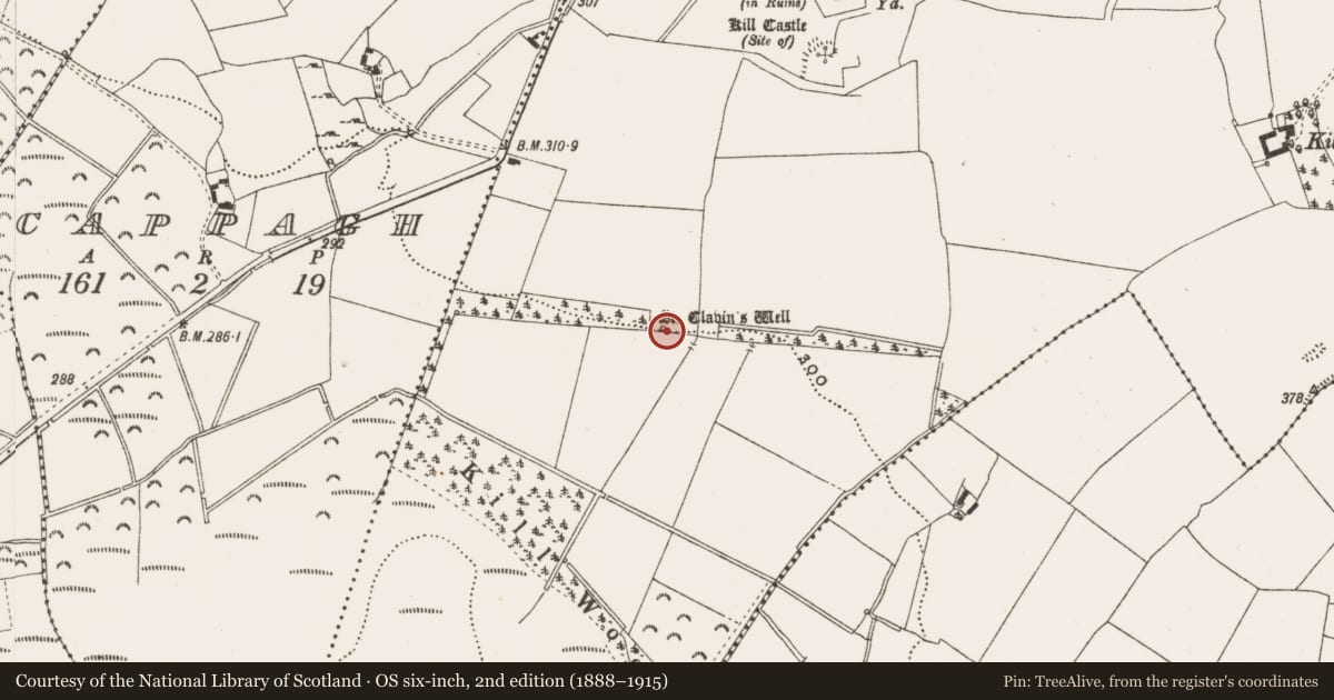 Ordnance Survey six-inch map, 2nd edition (1888–1915) covering the location of Ritual site - holy well, Kilclonfert, County Offaly, with a pin at the register's coordinates