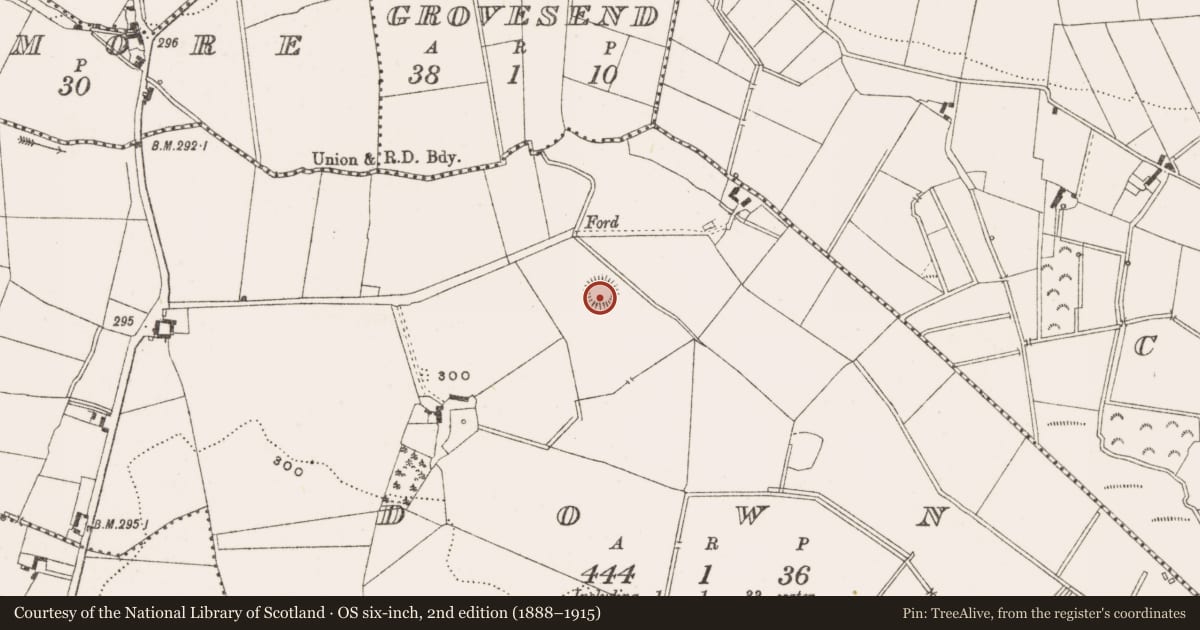 Ordnance Survey six-inch map, 2nd edition (1888–1915) covering the location of Ringfort - unclassified, Down, County Offaly, with a pin at the register's coordinates
