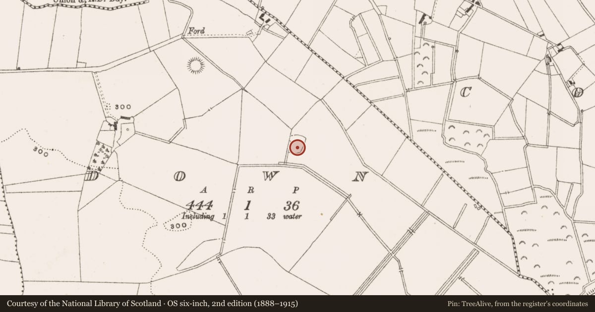Ordnance Survey six-inch map, 2nd edition (1888–1915) covering the location of Enclosure, Down, County Offaly, with a pin at the register's coordinates