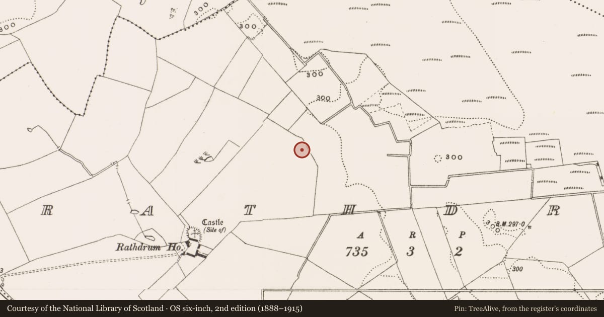 Ordnance Survey six-inch map, 2nd edition (1888–1915) covering the location of Enclosure, Rathdrum, County Offaly, with a pin at the register's coordinates