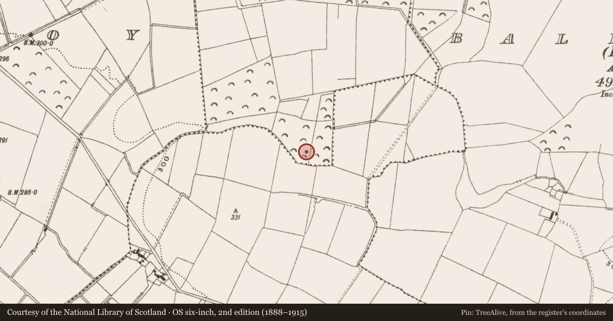 Ordnance Survey six-inch map, 2nd edition (1888–1915) covering the location of Enclosure, Clyduff, County Offaly, with a pin at the register's coordinates