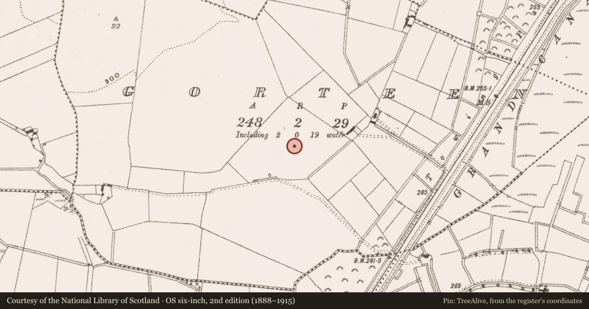 Ordnance Survey six-inch map, 2nd edition (1888–1915) covering the location of Field system, Gorteen, County Offaly, with a pin at the register's coordinates