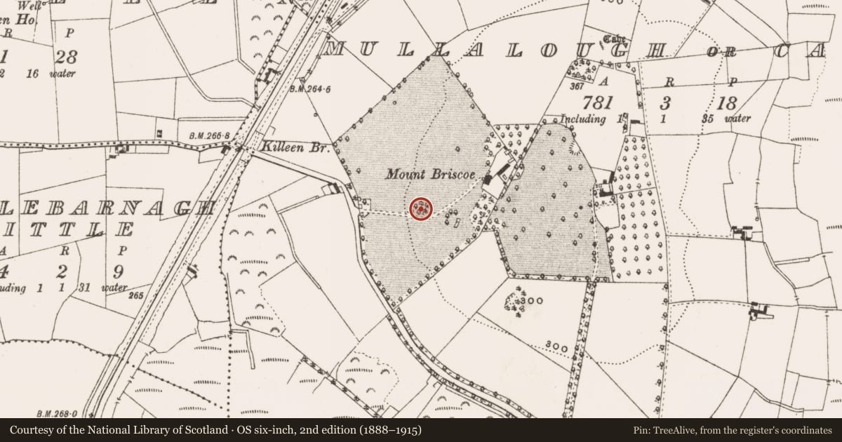 Ordnance Survey six-inch map, 2nd edition (1888–1915) covering the location of Designed landscape - tree-ring, Mullalough Or Cavemount, County Offaly, with a pin at the register's coordinates