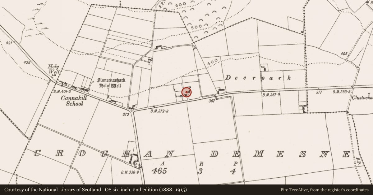 Ordnance Survey six-inch map, 2nd edition (1888–1915) covering the location of Stone head, Croghan Demesne, County Offaly, with a pin at the register's coordinates