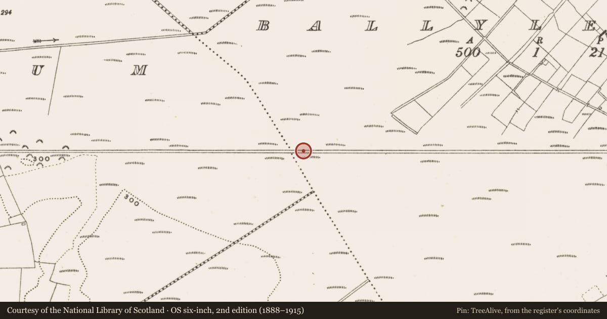 Ordnance Survey six-inch map, 2nd edition (1888–1915) covering the location of Structure - peatland, Ballylennon, County Offaly, with a pin at the register's coordinates
