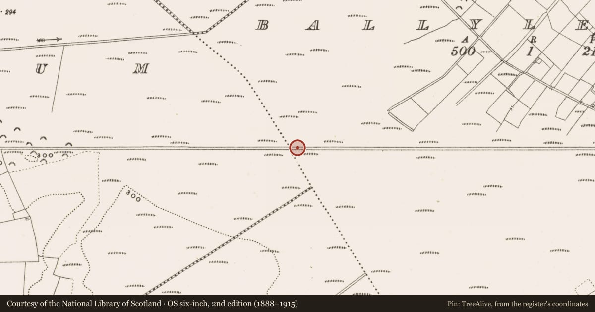 Ordnance Survey six-inch map, 2nd edition (1888–1915) covering the location of Structure - peatland, Ballylennon, County Offaly, with a pin at the register's coordinates