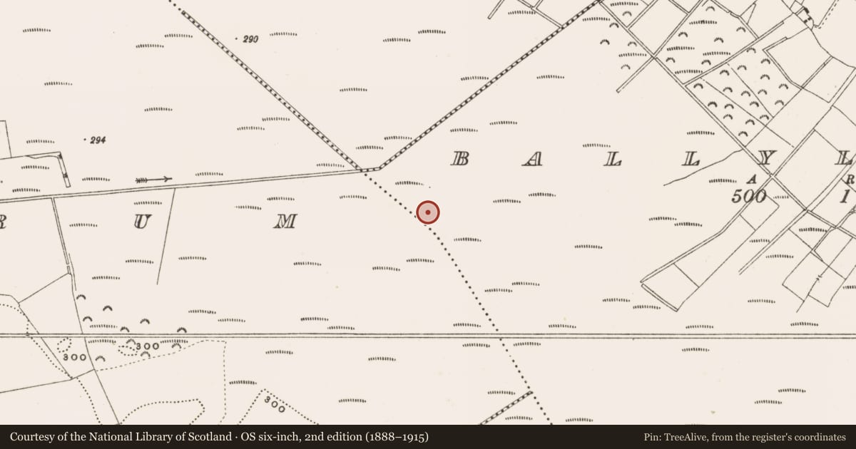 Ordnance Survey six-inch map, 2nd edition (1888–1915) covering the location of Structure - peatland, Ballylennon, County Offaly, with a pin at the register's coordinates
