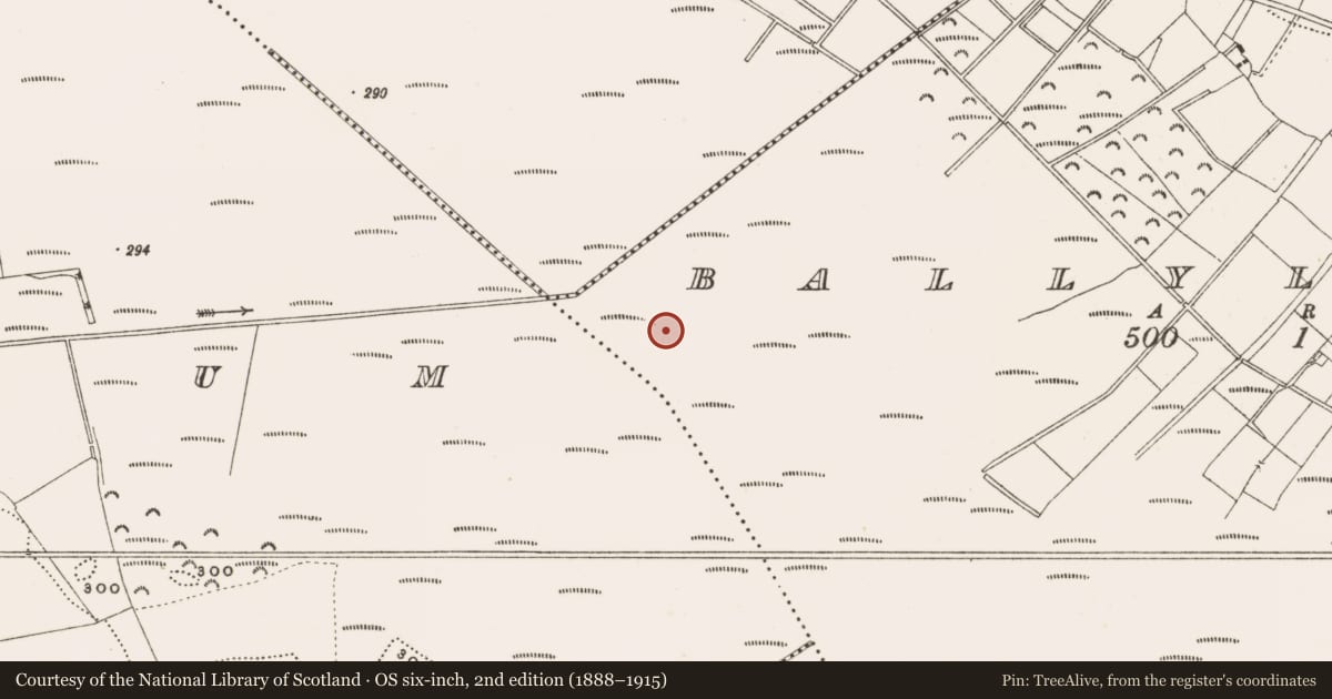 Ordnance Survey six-inch map, 2nd edition (1888–1915) covering the location of Structure - peatland, Ballylennon, County Offaly, with a pin at the register's coordinates