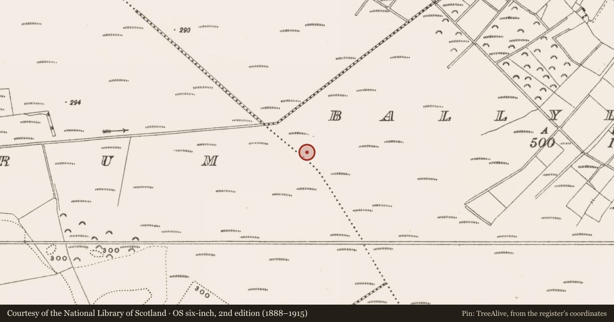 Ordnance Survey six-inch map, 2nd edition (1888–1915) covering the location of Road - class 3 togher, Ballylennon, County Offaly, with a pin at the register's coordinates