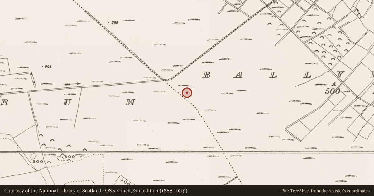 Ordnance Survey six-inch map, 2nd edition (1888–1915) covering the location of Structure - peatland, Ballylennon, County Offaly, with a pin at the register's coordinates