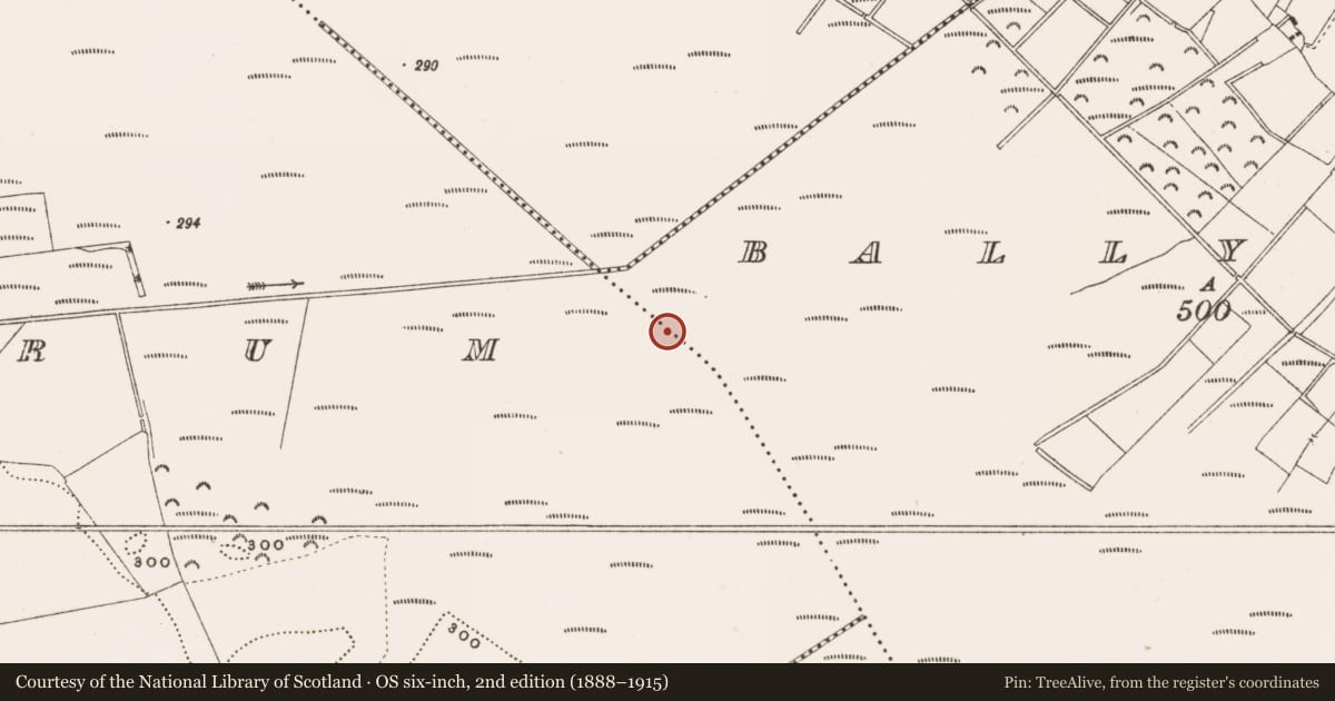 Ordnance Survey six-inch map, 2nd edition (1888–1915) covering the location of Road - class 3 togher, Ballylennon, Rathdrum, County Offaly, with a pin at the register's coordinates