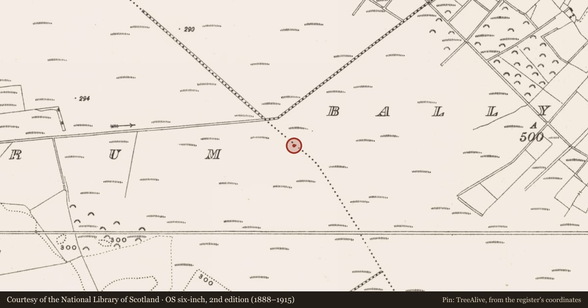 Ordnance Survey six-inch map, 2nd edition (1888–1915) covering the location of Structure - peatland, Ballylennon, Rathdrum, County Offaly, with a pin at the register's coordinates