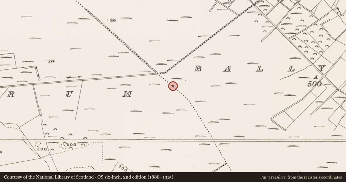 Ordnance Survey six-inch map, 2nd edition (1888–1915) covering the location of Structure - peatland, Ballylennon, County Offaly, with a pin at the register's coordinates