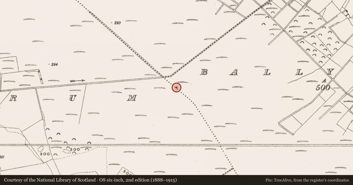 Ordnance Survey six-inch map, 2nd edition (1888–1915) covering the location of Structure - peatland, Ballylennon, County Offaly, with a pin at the register's coordinates