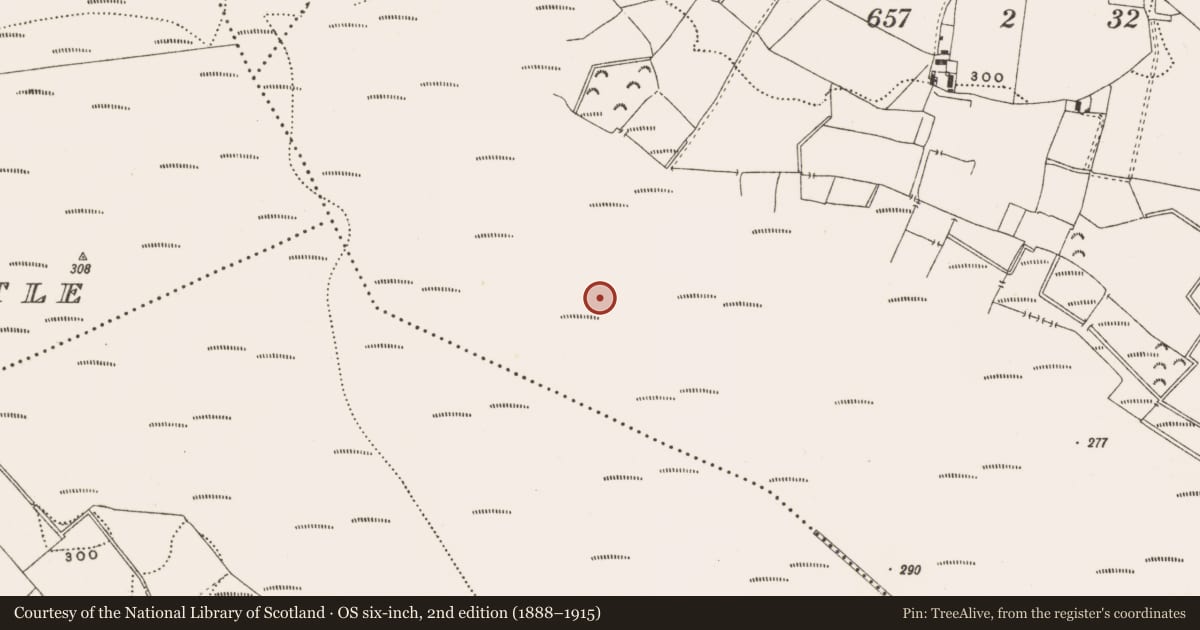 Ordnance Survey six-inch map, 2nd edition (1888–1915) covering the location of Structure - peatland, Barnaboy, County Offaly, with a pin at the register's coordinates