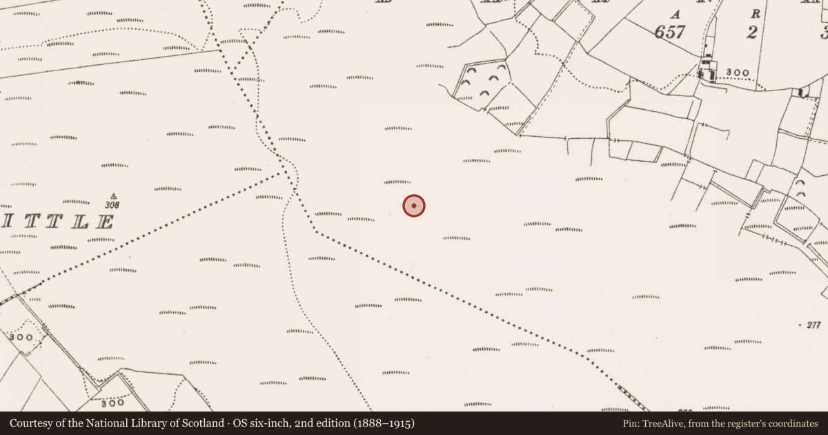 Ordnance Survey six-inch map, 2nd edition (1888–1915) covering the location of Structure - peatland, Barnaboy, County Offaly, with a pin at the register's coordinates
