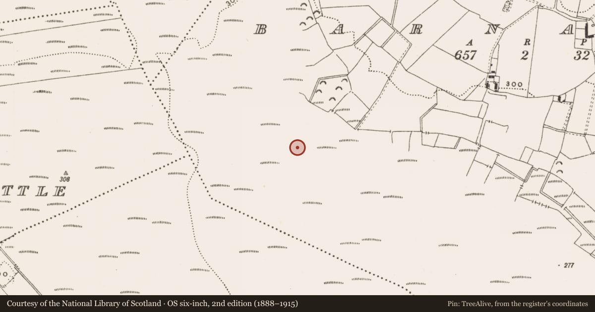 Ordnance Survey six-inch map, 2nd edition (1888–1915) covering the location of Structure - peatland, Barnaboy, County Offaly, with a pin at the register's coordinates