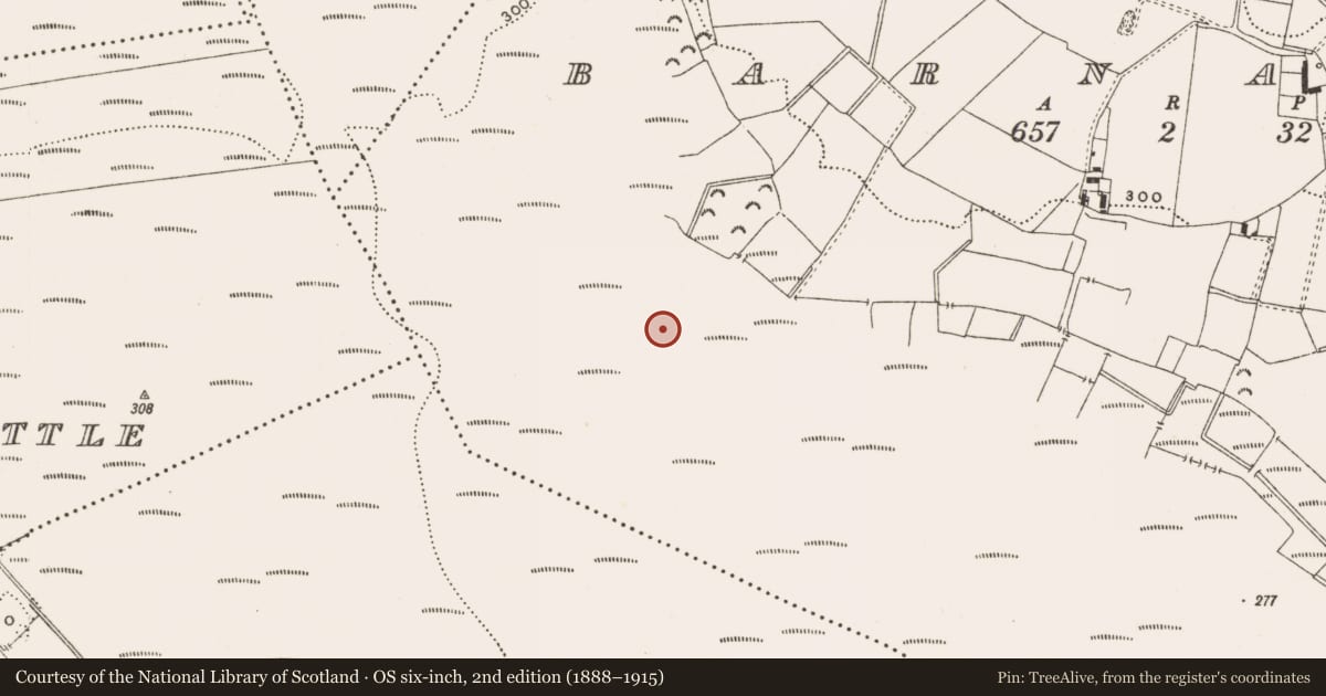 Ordnance Survey six-inch map, 2nd edition (1888–1915) covering the location of Structure - peatland, Barnaboy, County Offaly, with a pin at the register's coordinates