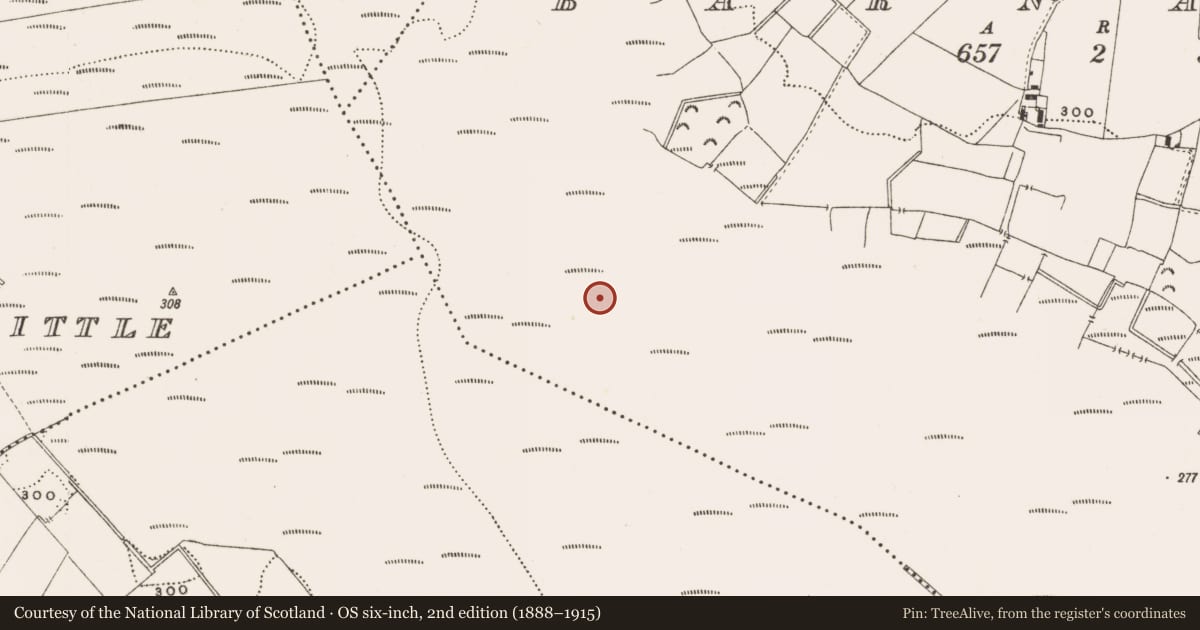 Ordnance Survey six-inch map, 2nd edition (1888–1915) covering the location of Structure - peatland, Barnaboy, County Offaly, with a pin at the register's coordinates
