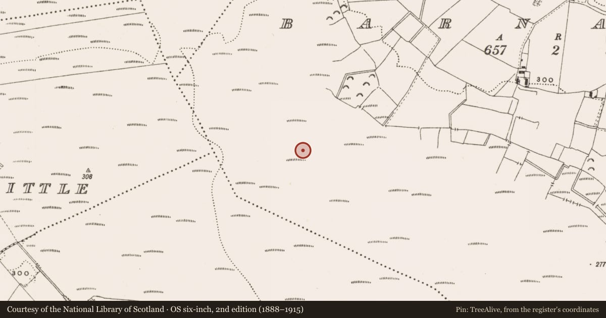 Ordnance Survey six-inch map, 2nd edition (1888–1915) covering the location of Structure - peatland, Barnaboy, County Offaly, with a pin at the register's coordinates