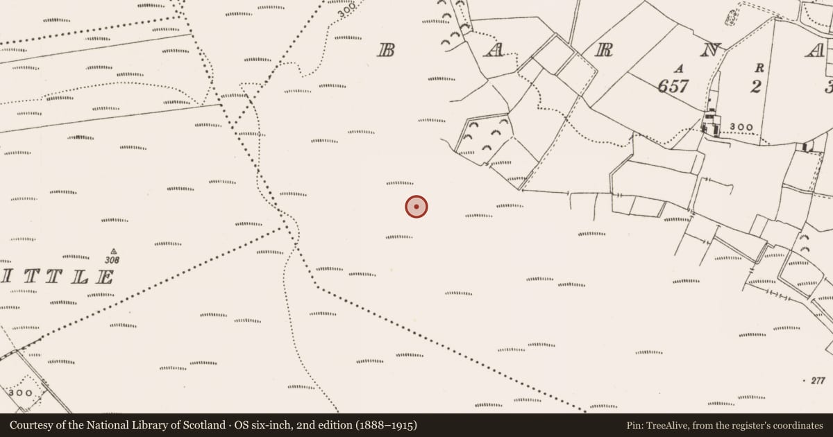 Ordnance Survey six-inch map, 2nd edition (1888–1915) covering the location of Structure - peatland, Barnaboy, County Offaly, with a pin at the register's coordinates