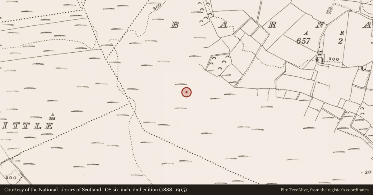 Ordnance Survey six-inch map, 2nd edition (1888–1915) covering the location of Structure - peatland, Barnaboy, County Offaly, with a pin at the register's coordinates