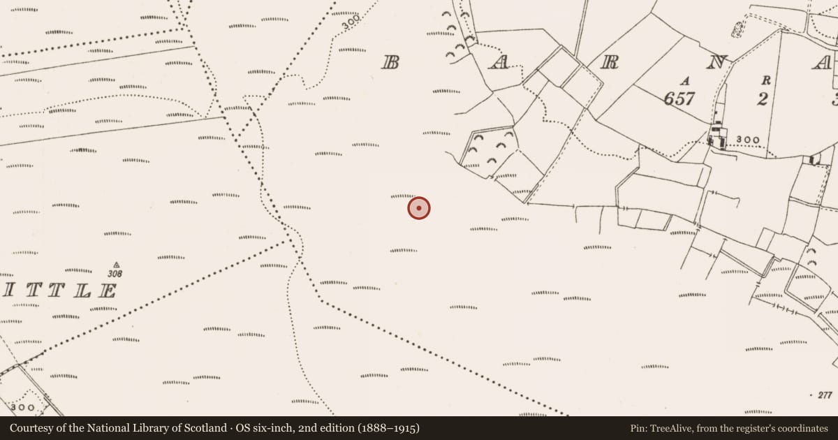 Ordnance Survey six-inch map, 2nd edition (1888–1915) covering the location of Structure - peatland, Barnaboy, County Offaly, with a pin at the register's coordinates