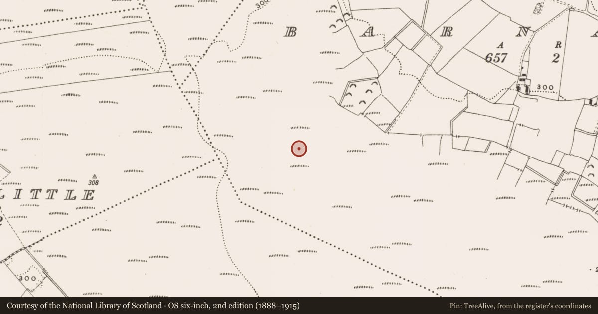 Ordnance Survey six-inch map, 2nd edition (1888–1915) covering the location of Structure - peatland, Barnaboy, County Offaly, with a pin at the register's coordinates
