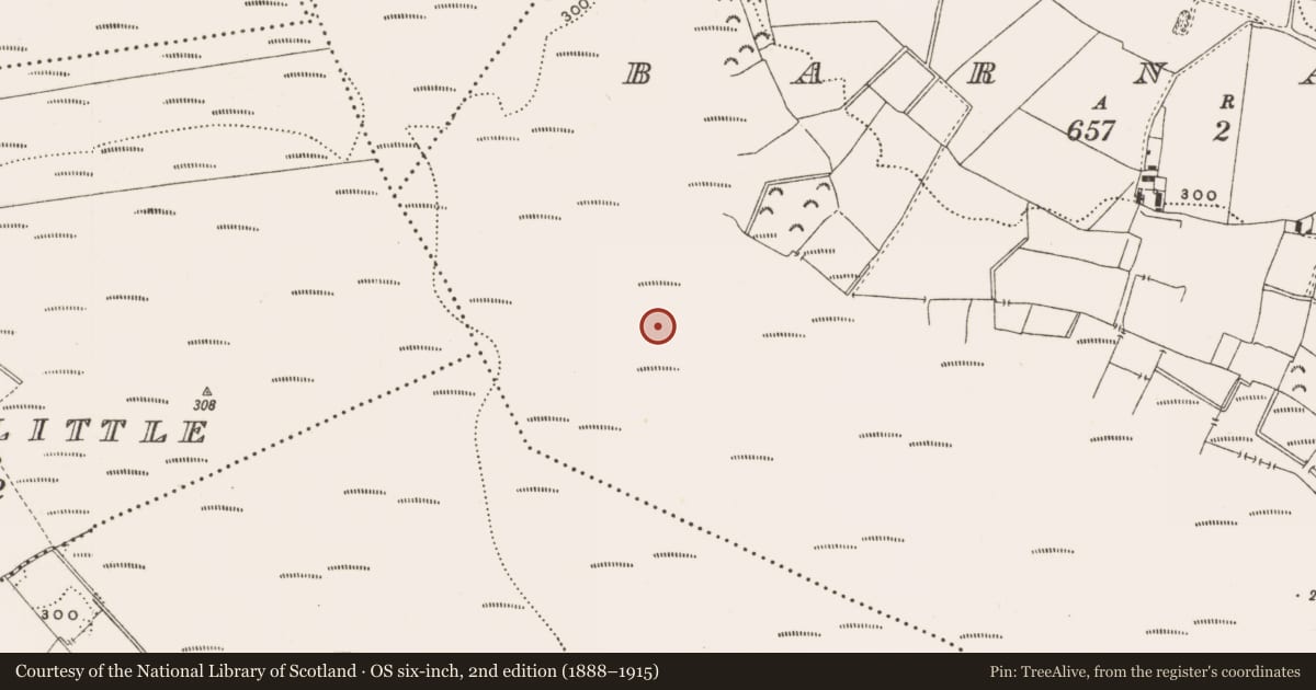 Ordnance Survey six-inch map, 2nd edition (1888–1915) covering the location of Structure - peatland, Barnaboy, County Offaly, with a pin at the register's coordinates