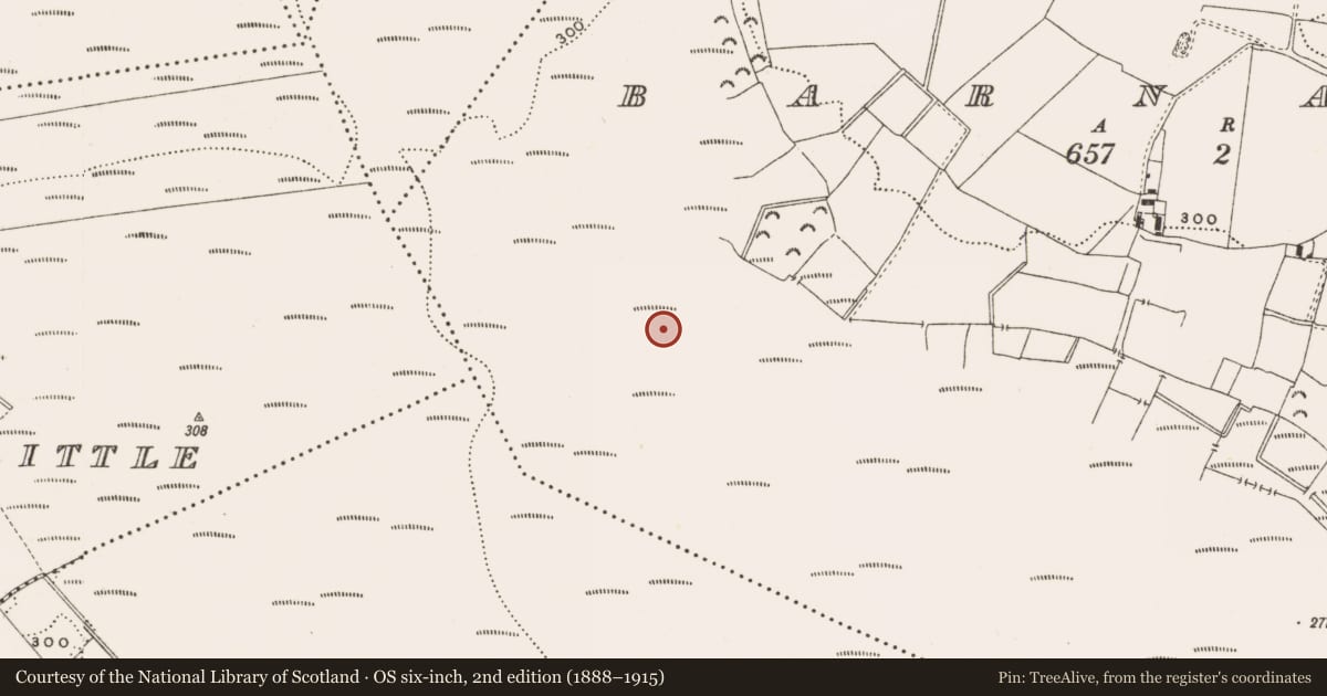 Ordnance Survey six-inch map, 2nd edition (1888–1915) covering the location of Structure - peatland, Barnaboy, County Offaly, with a pin at the register's coordinates