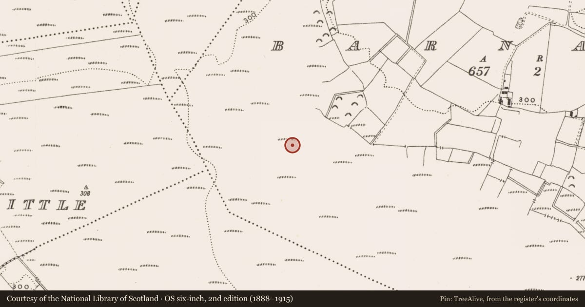Ordnance Survey six-inch map, 2nd edition (1888–1915) covering the location of Structure - peatland, Barnaboy, County Offaly, with a pin at the register's coordinates