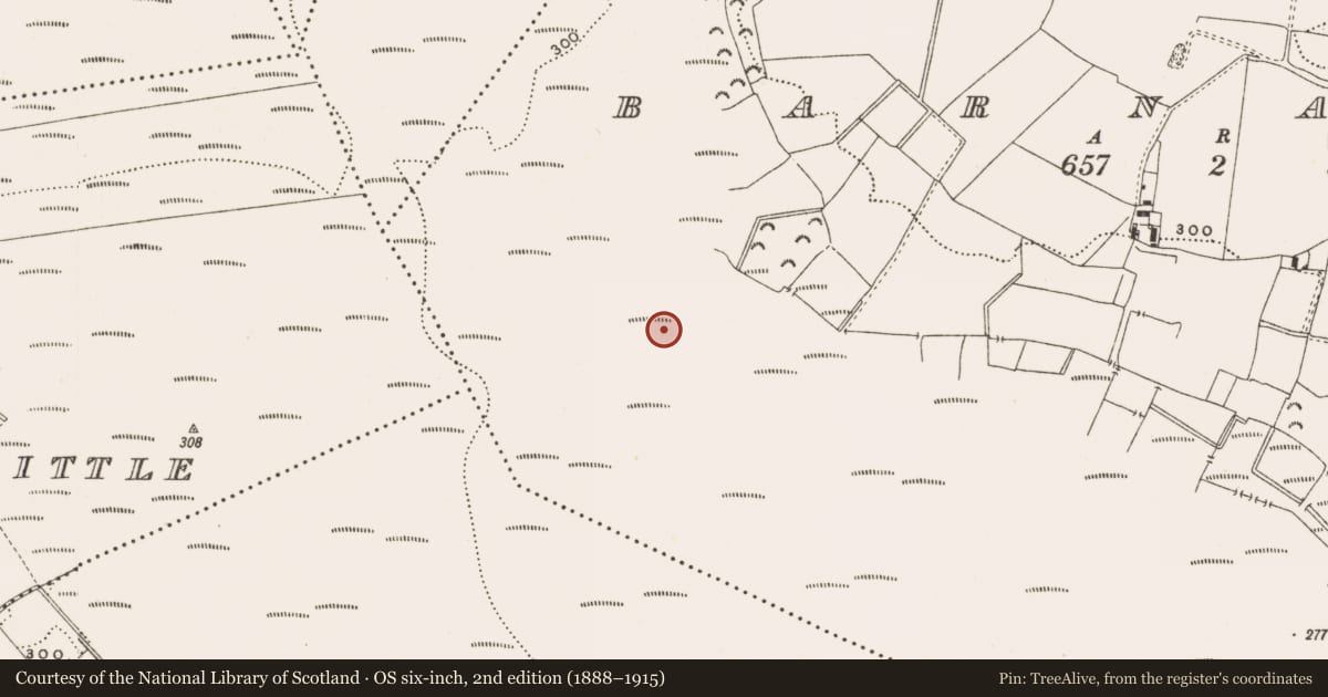 Ordnance Survey six-inch map, 2nd edition (1888–1915) covering the location of Structure - peatland, Barnaboy, County Offaly, with a pin at the register's coordinates